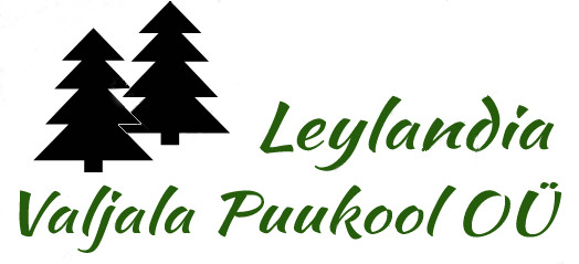 Leylandia Valjala Puukool